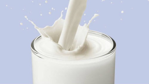जानिए पीने से पहले क्यों उबालना चाहिए दूध, इस एक गलती से जा सकती है जान